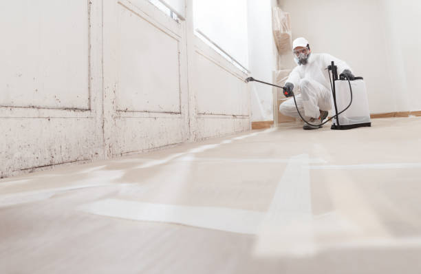 24/7 Emergency Mold Remediation experts in Wingate, NC
